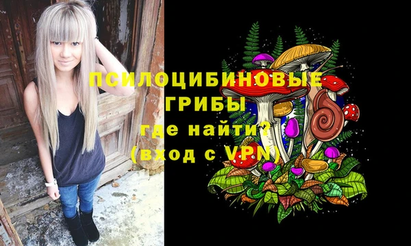 шишки Арсеньев
