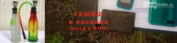 шишки Арсеньев