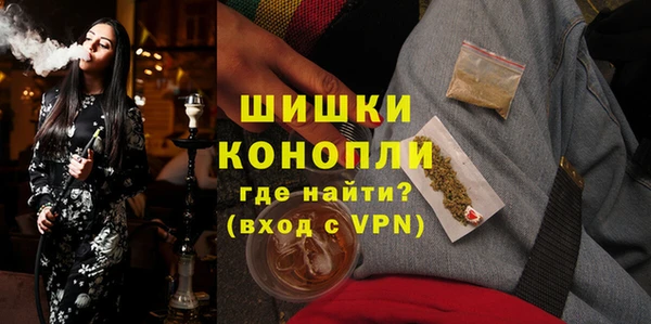 шишки Арсеньев
