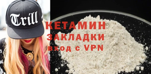 шишки Арсеньев