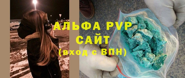шишки Арсеньев