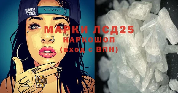 шишки Арсеньев