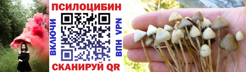 Купить где Заполярный Псилоцибиновые грибы ЛСД